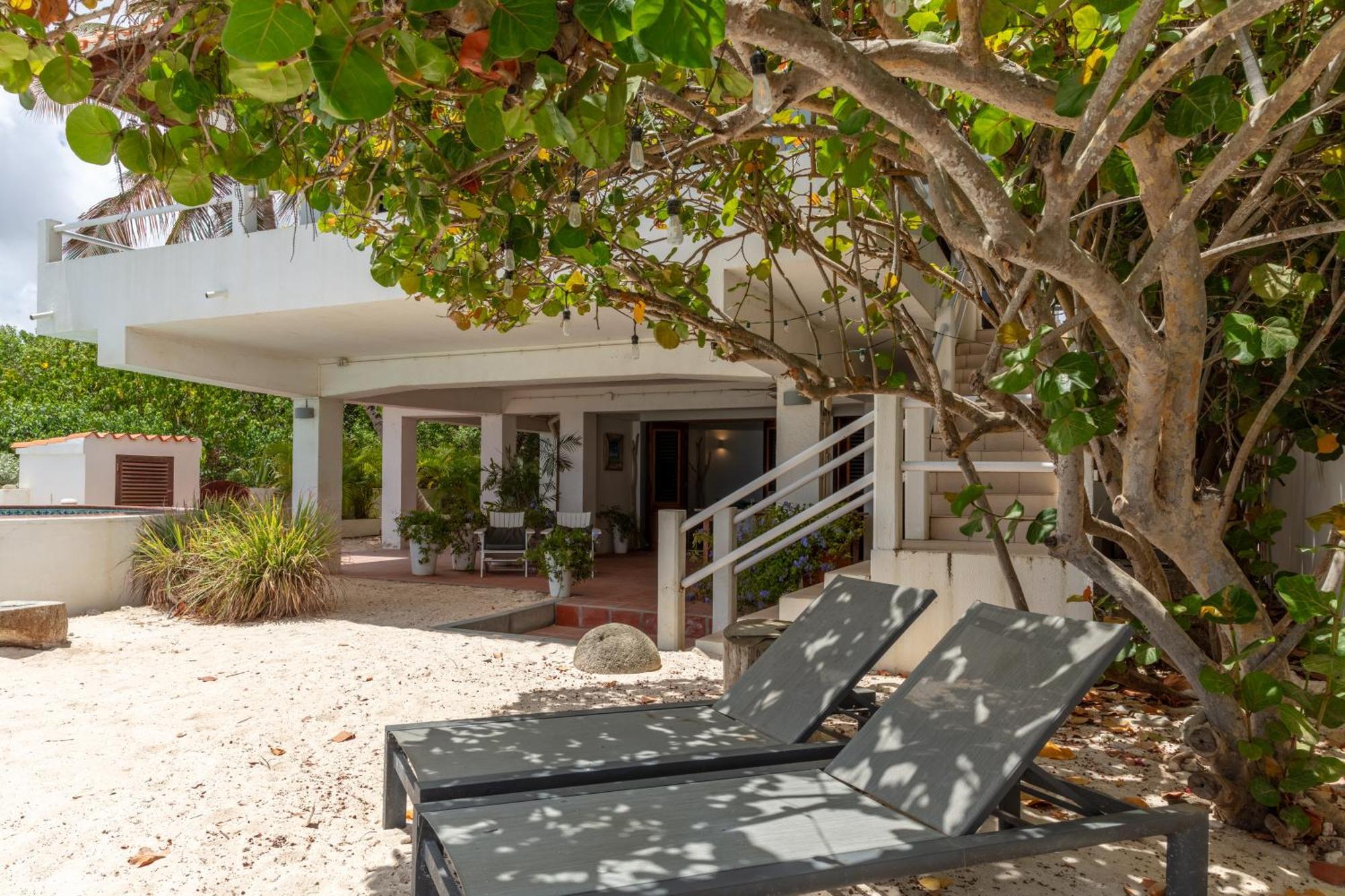קרלנדיק One Ocean Boutique Apartments & Suites Bonaire מראה חיצוני תמונה