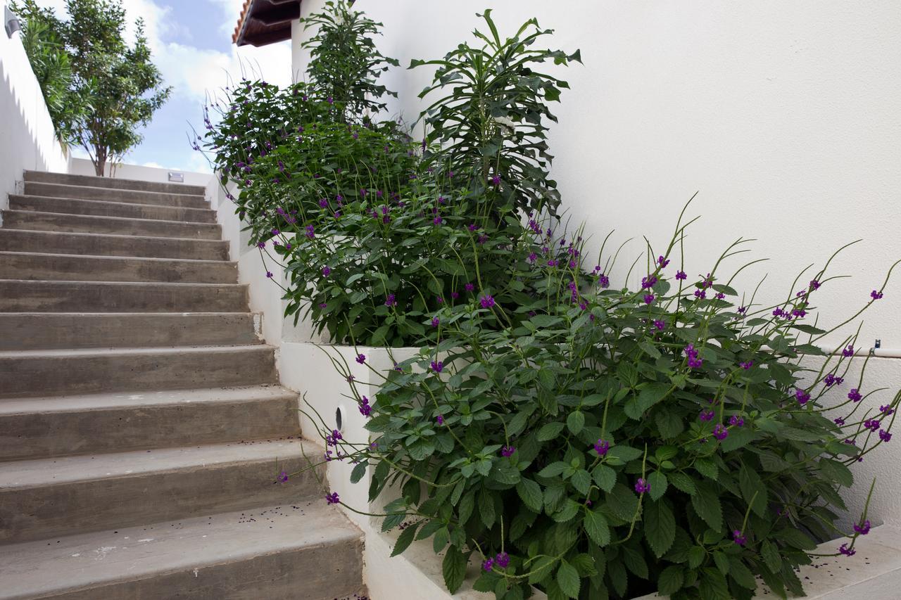 קרלנדיק One Ocean Boutique Apartments & Suites Bonaire מראה חיצוני תמונה