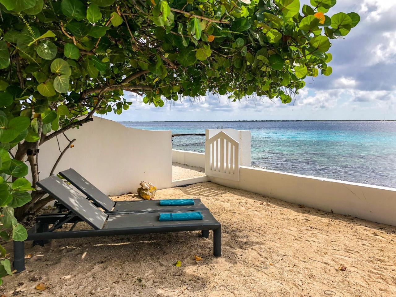 קרלנדיק One Ocean Boutique Apartments & Suites Bonaire מראה חיצוני תמונה
